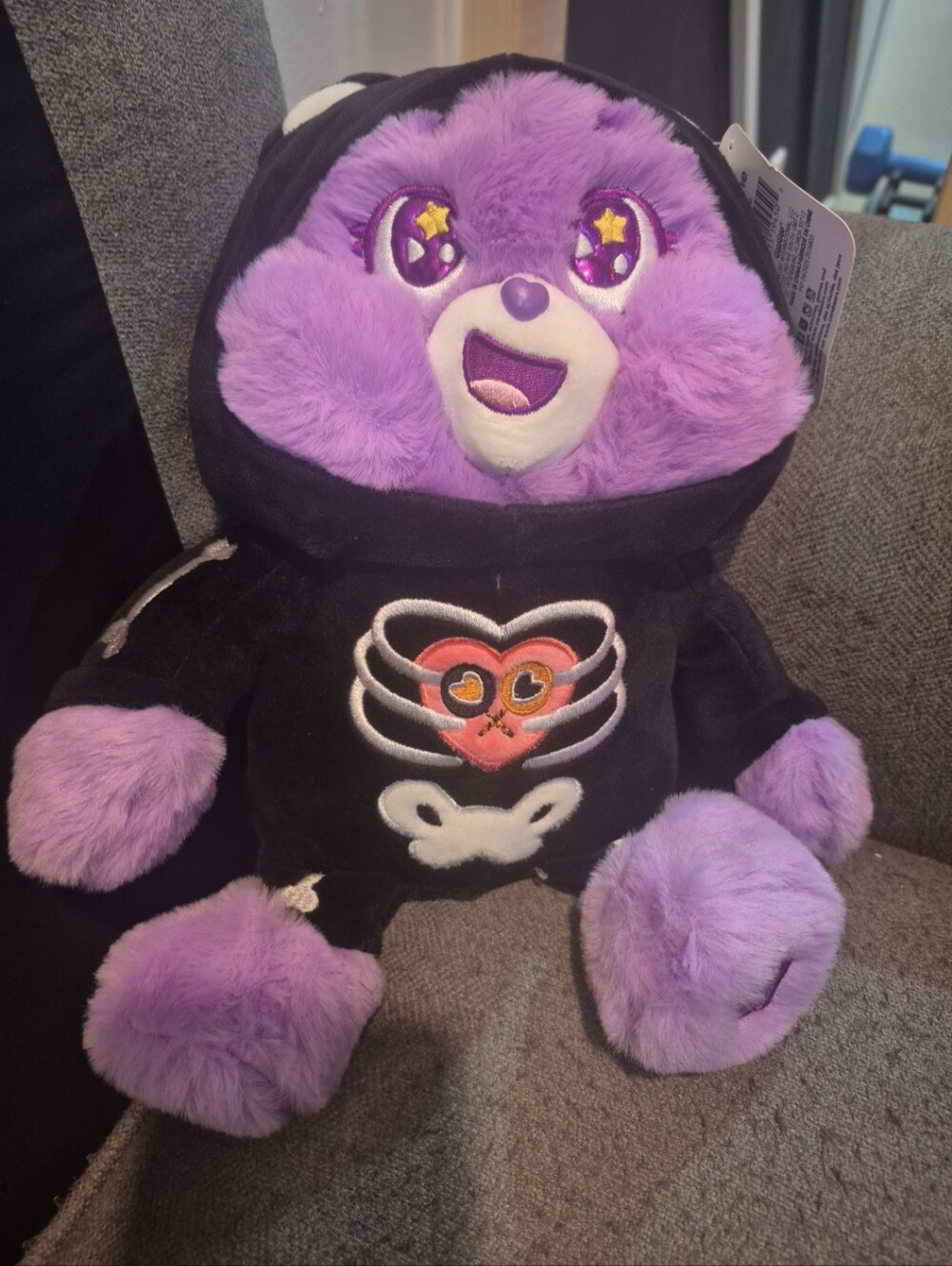 Care Bears 10 Inch Purple Plush Teddy Bear Wearing Skeleton Hoodies Halloween
